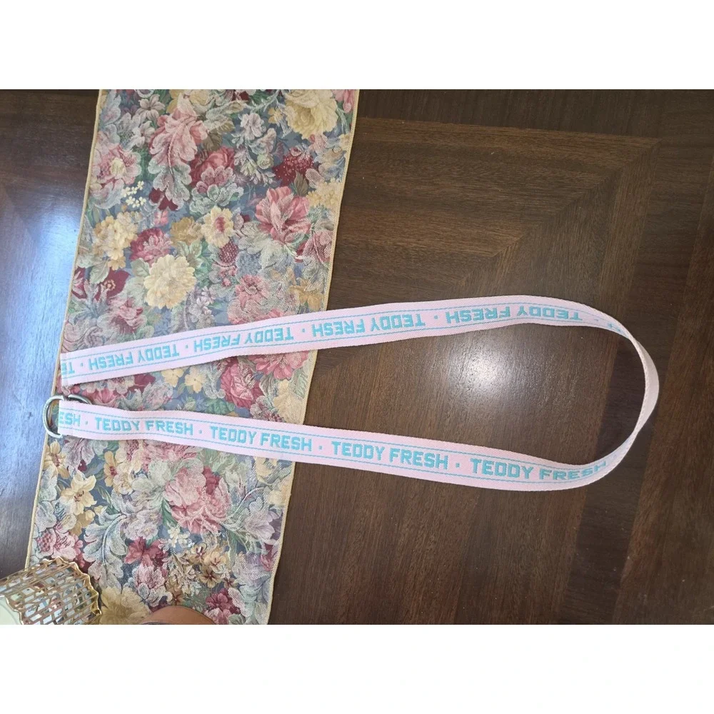 Teddy Fresh D-Ring Webbing Belt Pink Teal Embroidered Logo Streetwear